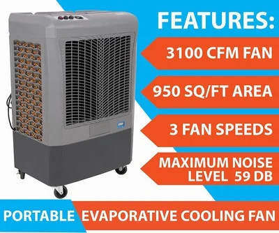 fan